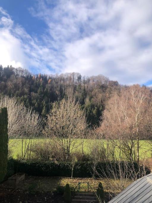 Apartment Casa Niederalm