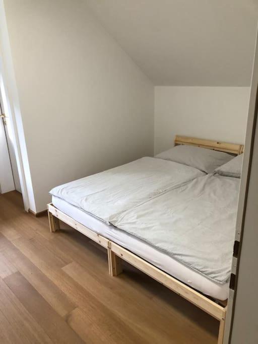 Apartment Casa