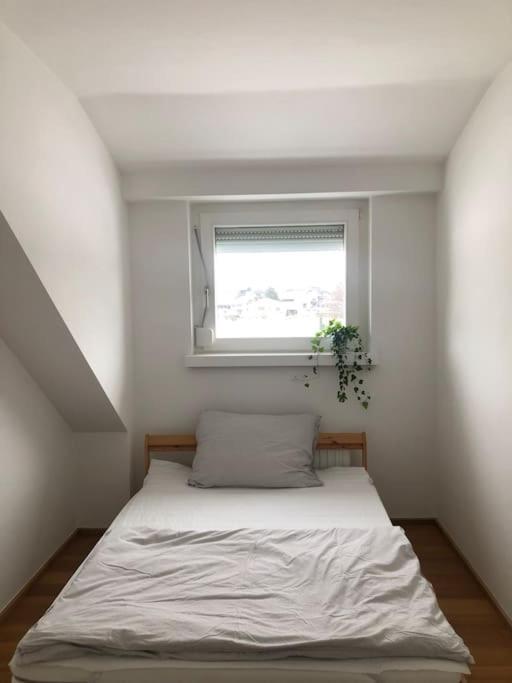 Apartment Casa Niederalm